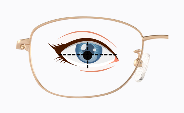 pupil